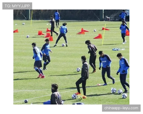 中超赛场闪耀西亚身影：外援助力球队冲击联赛新高