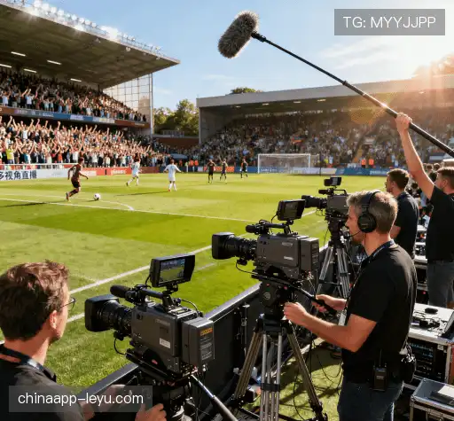 我们的关键优势